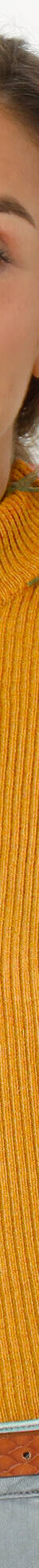 Pull col montant manches courtes, maille côtelée (curry) Pull col montant manches courtes, maille côtelée (curry)